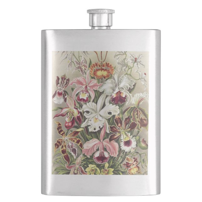 ErnstHaeckel Vintage Botanical Orchid Illustration Hip Flask (Front)
