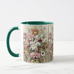 ErnstHaeckel Vintage Botanical Orchid Illustration Mug