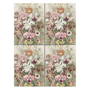 ErnstHaeckel Vintage Botanical Orchid Illustration Tablecloth