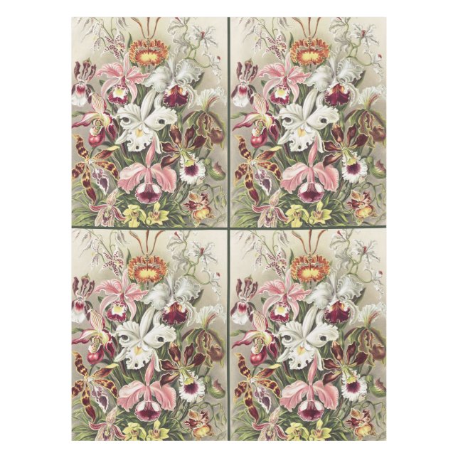 ErnstHaeckel Vintage Botanical Orchid Illustration Tablecloth (Front)