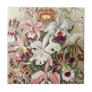 ErnstHaeckel Vintage Botanical Orchid Illustration Tile
