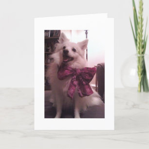 ERU Holiday Card