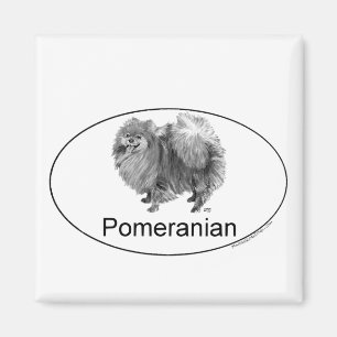 Eruo Pomeranian Dog Magnet