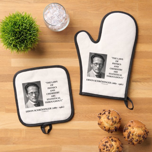 Erwin Schrödinger Physics Chemistry Statistical Oven Mitt & Pot Holder Set (Top Down)