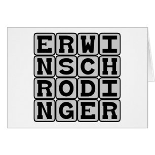 Erwin Schrodinger, Quantum Theorist