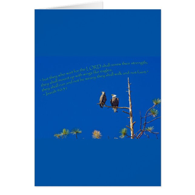 Ésaïe 40:31 (Devant)