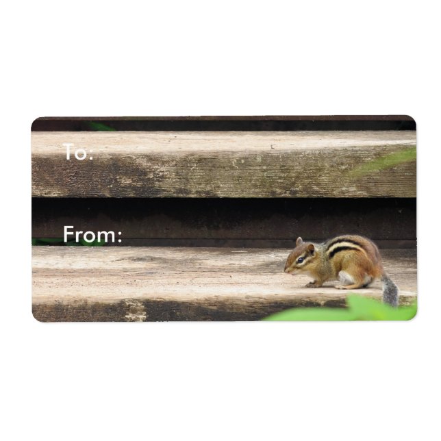 Escaliers Escalades Chipmunk (Devant)