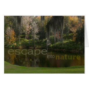 Escape into nature