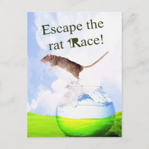 Escape The Rat Race! Postcard