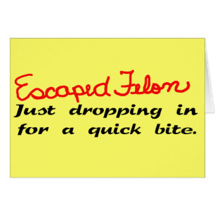 Escaped Felon Funny T-shirts Gifts
