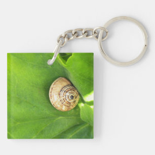 Escargot