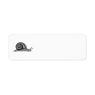 Escargot