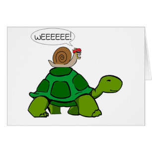 Escargot et tortue - duo de Turbo