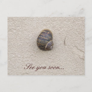 Escargot solitaire sur la carte postale murale