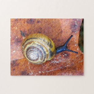 Escargot sur le puzzle de feuille