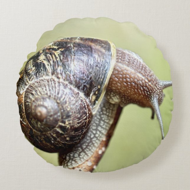 Escargot - The Rich Delight Round Pillow (Front)