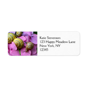 Escargots de jardin sur les fleurs roses