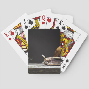 Escargots - Snail Mollusk Playing Cards