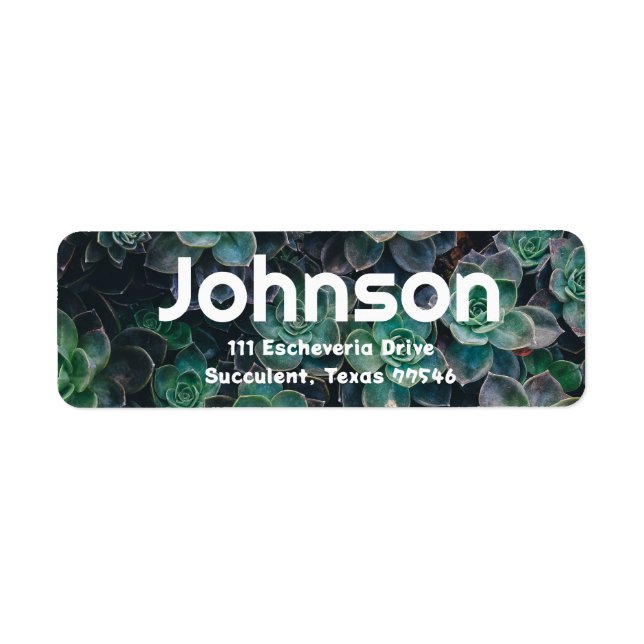 Esceveria Succulent Themed Address Labels (Front)