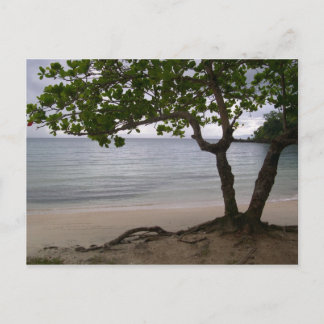 Escondido Beach Postcard