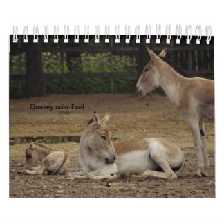 Esel ou Donkey comme calendrier