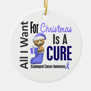 Esophageal Cancer All I Want Christmas Ornaments