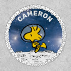 ESPACE | Astronaut Woodstock