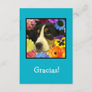Espagnol : Carte de remerciements/Gracias !