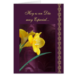 Espagnol : Jour spécial