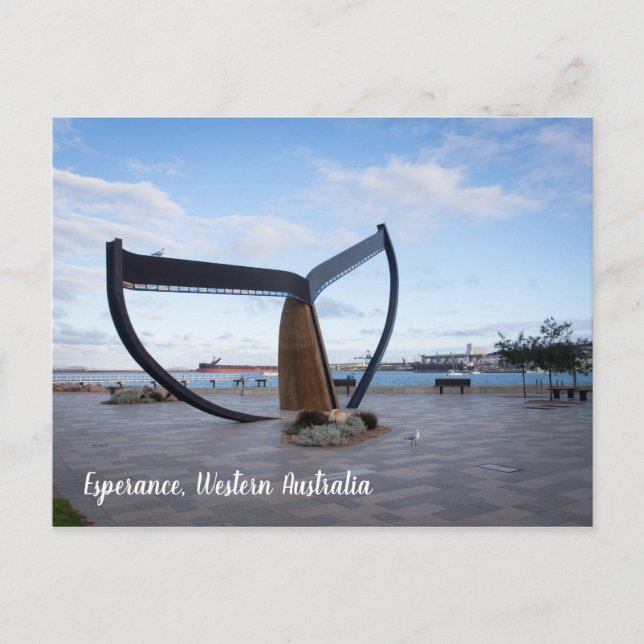 Esperance Esplanade Western Australia Postcard (Front)