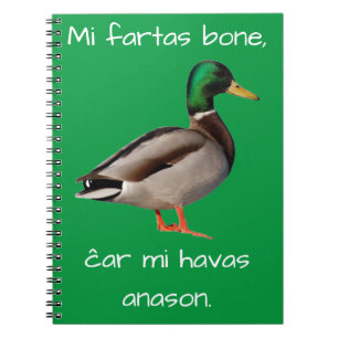 Esperanto: Mi fartas bone, ĉar mi havas anason. Notebook