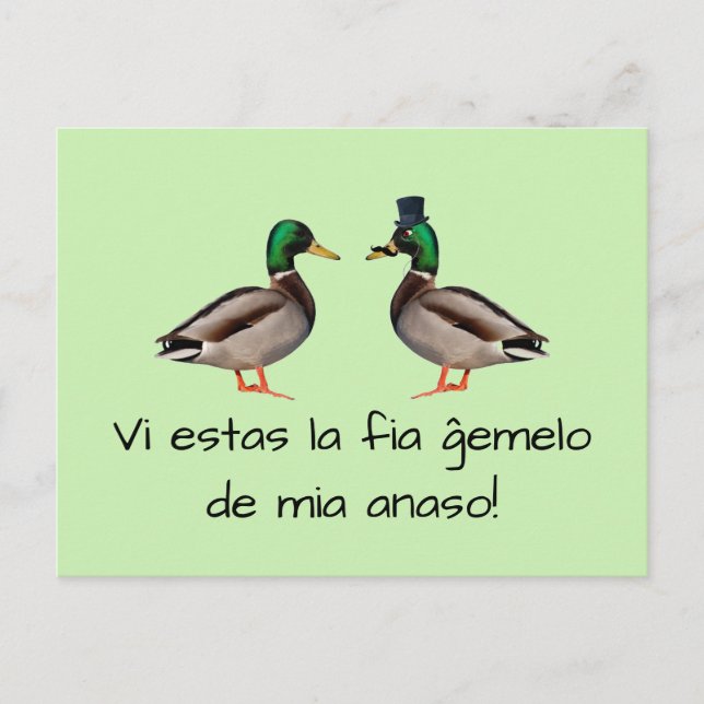 Esperanto: Vi estas la fia ĝemelo de mia anaso! Postcard (Front)