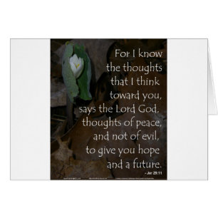 Espoir de 29:11 de Jérémie à l'avenir