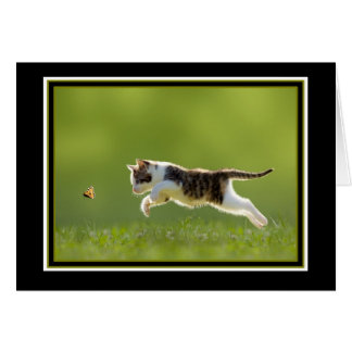 Espoir de rattraper avec vous bientôt !