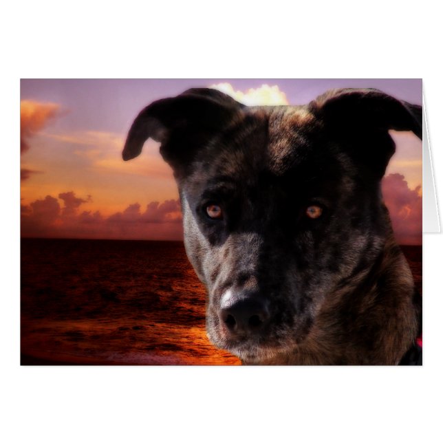 Espoir Visite L'Océan (Devant horizontal)