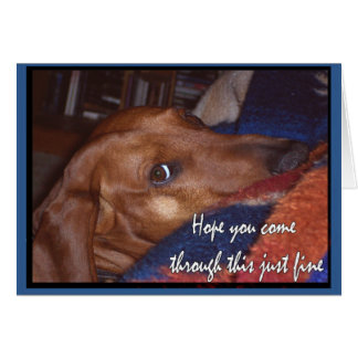 Espoir vous venez par cette amende juste