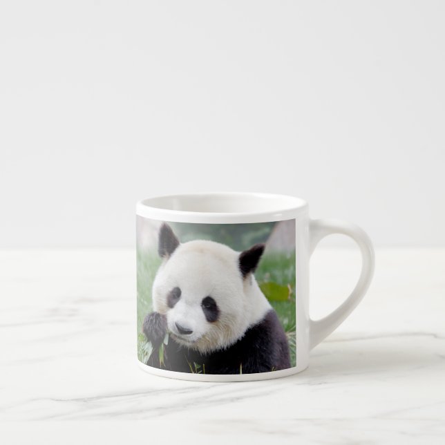espresso cup Photo giant panda. (Right)
