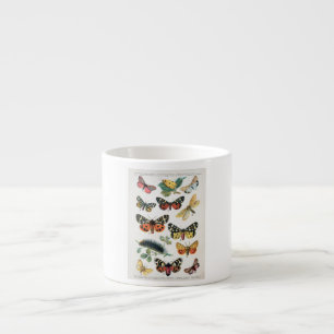 ESPRESSO Mug BUTTERFLY ILLUSTRATIONS
