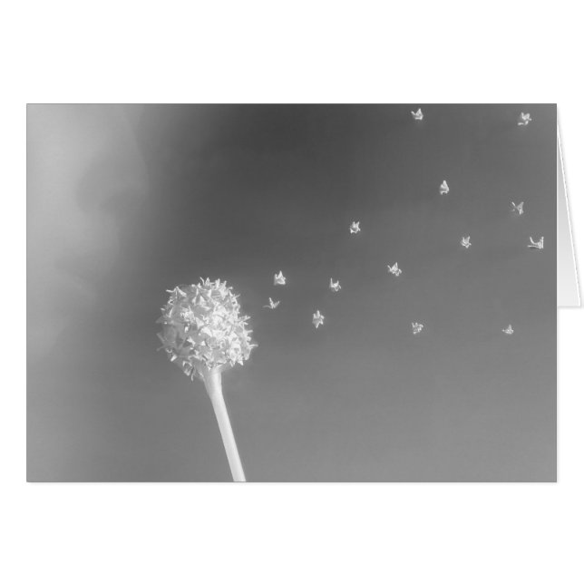 Esprit du vent (Devant Horizontal)