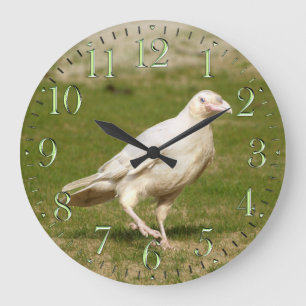 (Esprit) Raven blanc rare et horloge murale