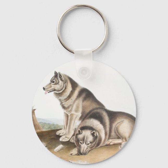 Esquimaux Dog (Canis familiaris) Illustration Keychain (Front)