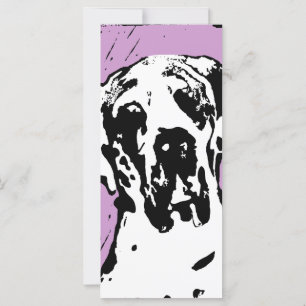 Esra Harlekin Great Dane
