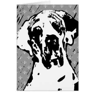 Esra Harlekin Great Dane