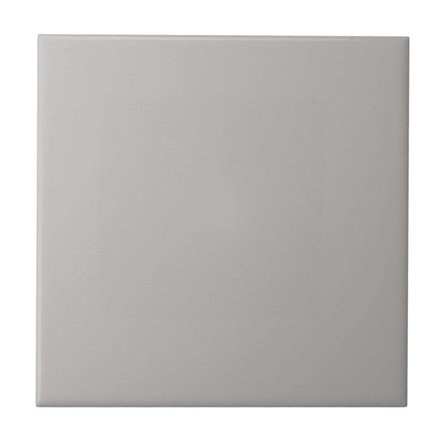 Essentially Grey Square Kitchen and Bathroom Tile (Front)