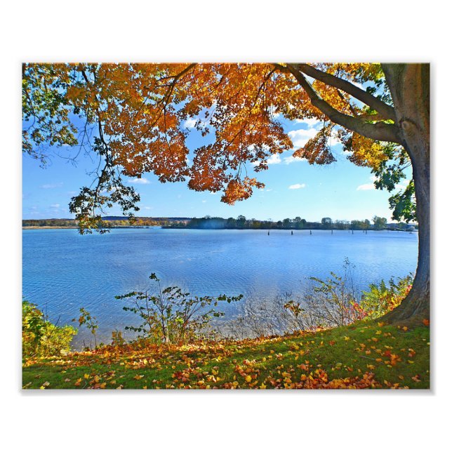 Essex In Autumn Photo Print (Front)