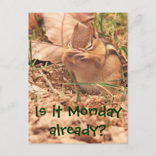 Est-ce déjà lundi ? Carte postale Chipmunk