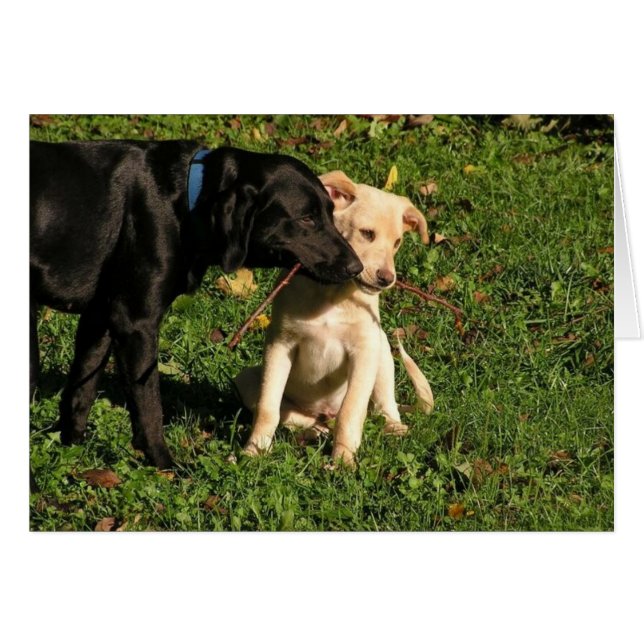 Est-ce qu'Awww… je dois partager ? (Devant Horizontal)