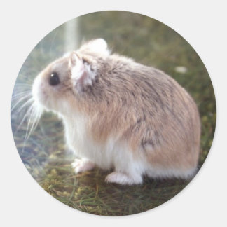 'Est-ce une abeille ? ' - Sticker Tac