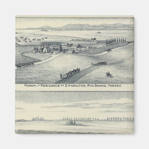 Estella Blanca Vineyard, California Magnet