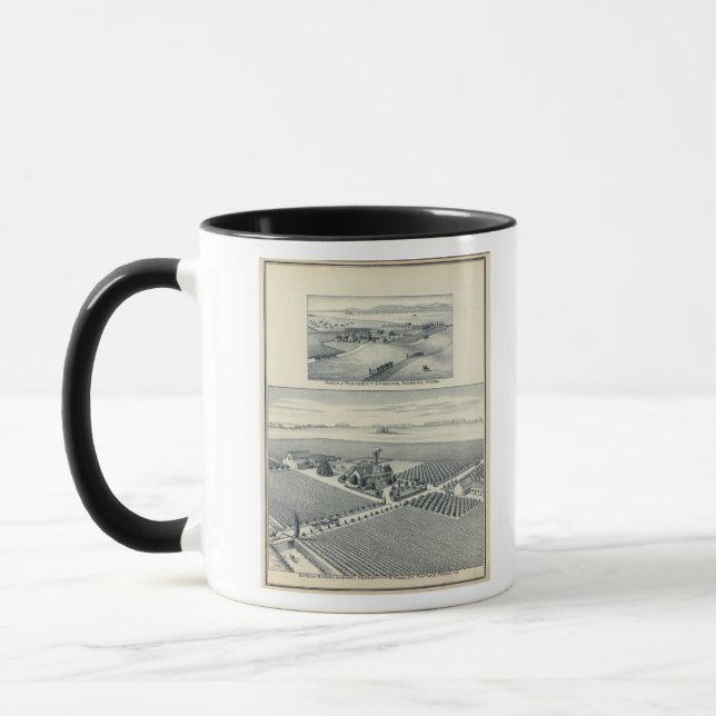 Estella Blanca Vineyard, California Mug (Left)